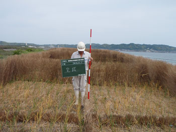 完成