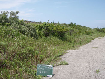 県単林地荒廃防止施設災害復旧工事（坂井・犬石）